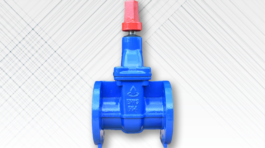 Wedge Gate Valve