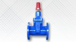 RSV Gate Valve