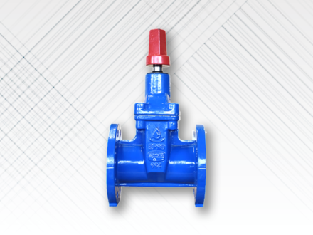 RSV Gate Valve