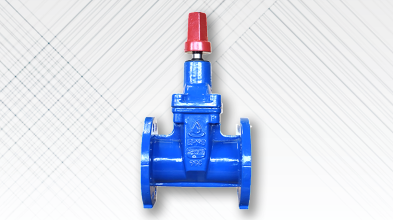 valves-archives-epns