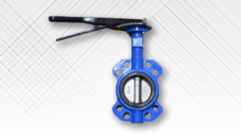 Butterfly Valve